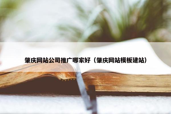 肇庆网站公司推广哪家好（肇庆网站模板建站）
