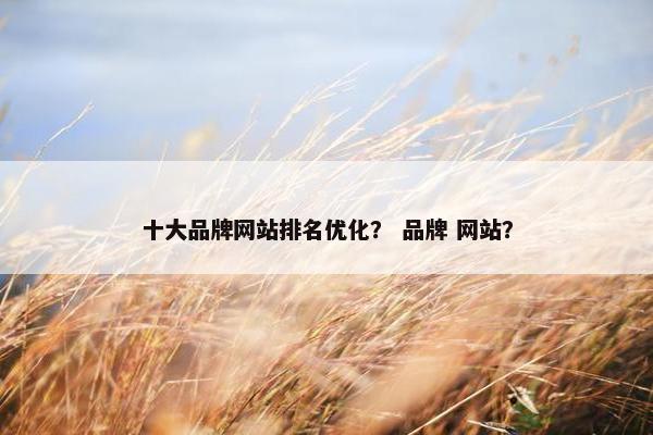 十大品牌网站排名优化？ 品牌 网站？
