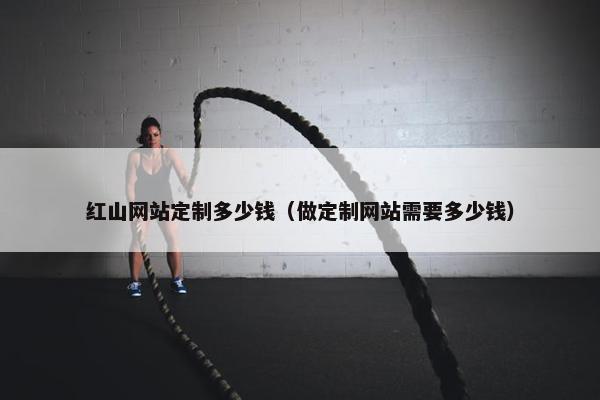 红山网站定制多少钱（做定制网站需要多少钱）