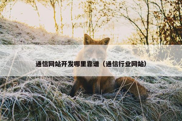 通信网站开发哪里靠谱（通信行业网站）