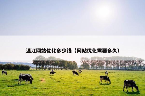 温江网站优化多少钱（网站优化需要多久）