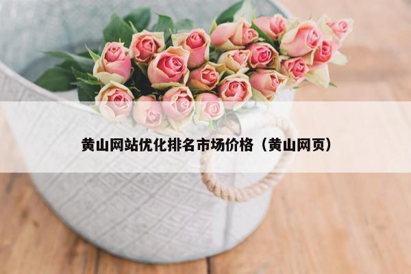 黄山网站优化排名市场价格（黄山网页）