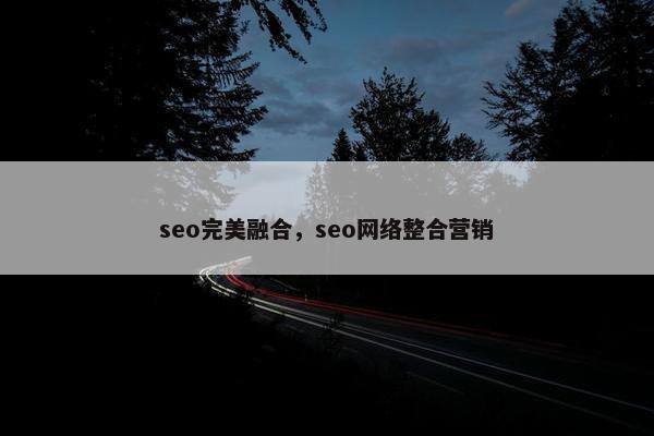 seo完美融合，seo网络整合营销