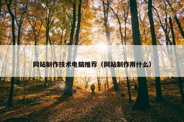 网站制作技术电脑推荐（网站制作用什么）