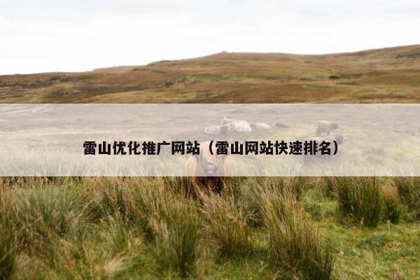 雷山优化推广网站（雷山网站快速排名）