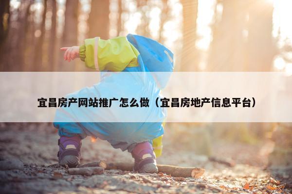 宜昌房产网站推广怎么做（宜昌房地产信息平台）
