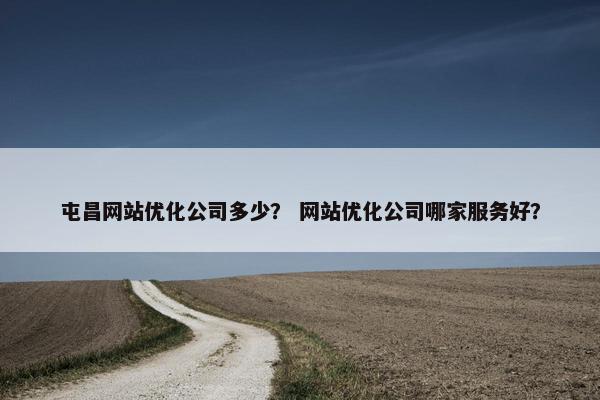 屯昌网站优化公司多少？ 网站优化公司哪家服务好？