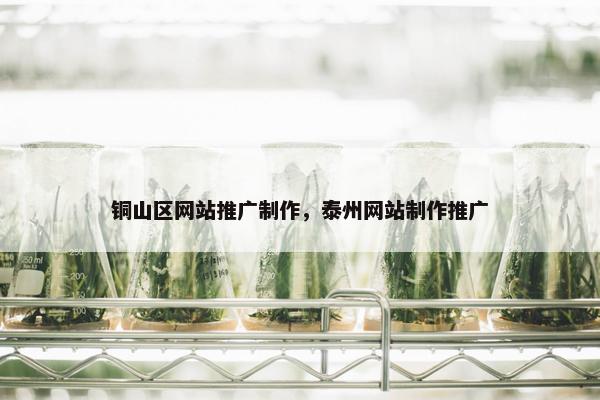 铜山区网站推广制作，泰州网站制作推广