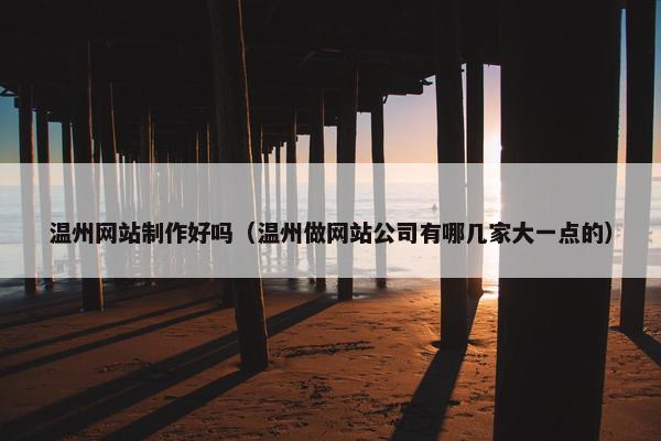 温州网站制作好吗（温州做网站公司有哪几家大一点的）
