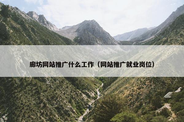 廊坊网站推广什么工作（网站推广就业岗位）