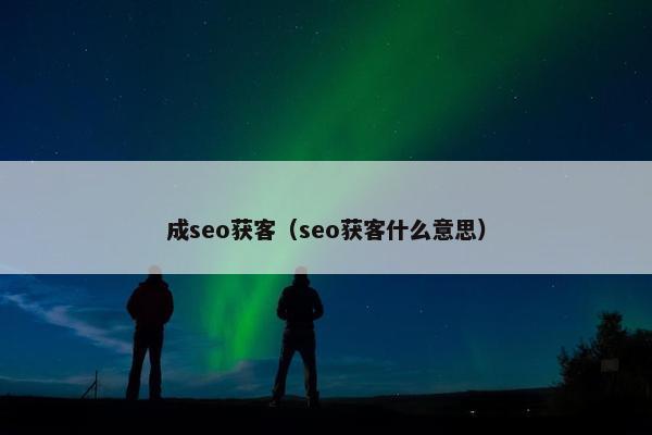 成seo获客（seo获客什么意思）