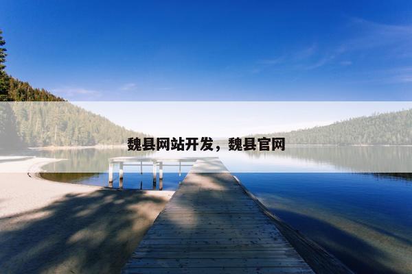 魏县网站开发，魏县官网