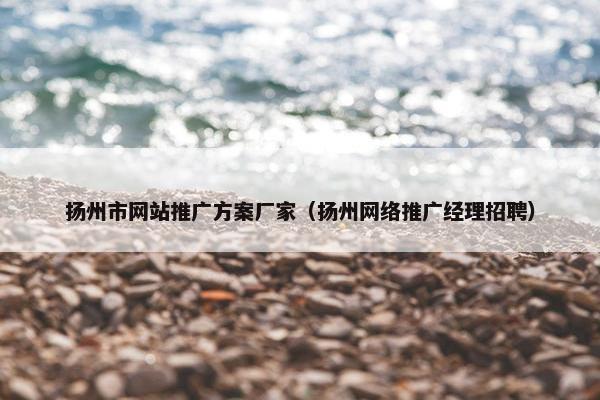 扬州市网站推广方案厂家（扬州网络推广经理招聘）