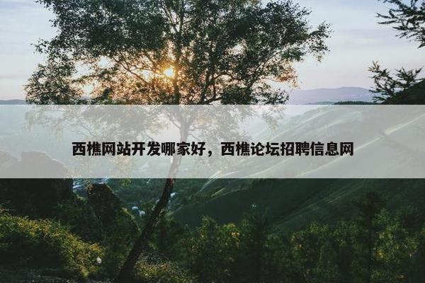 西樵网站开发哪家好，西樵论坛招聘信息网