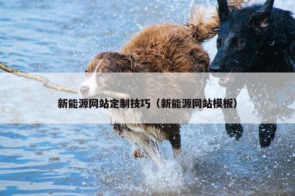 新能源网站定制技巧（新能源网站模板）