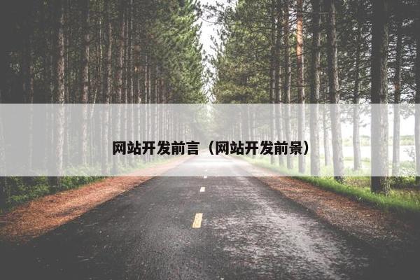 网站开发前言（网站开发前景）