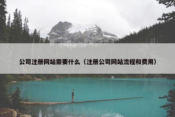 公司注册网站需要什么（注册公司网站流程和费用）