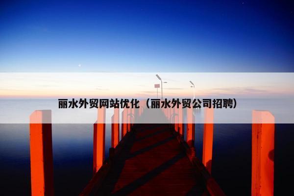 丽水外贸网站优化（丽水外贸公司招聘）