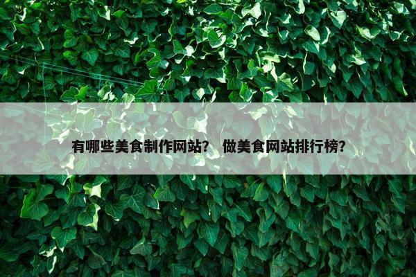 有哪些美食制作网站？ 做美食网站排行榜？