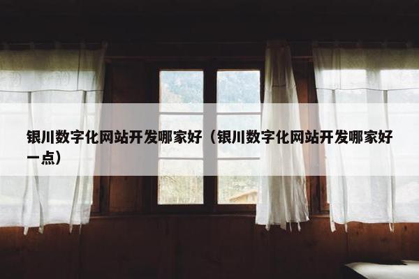 银川数字化网站开发哪家好（银川数字化网站开发哪家好一点）