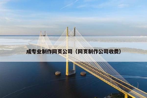 成专业制作网页公司（网页制作公司收费）