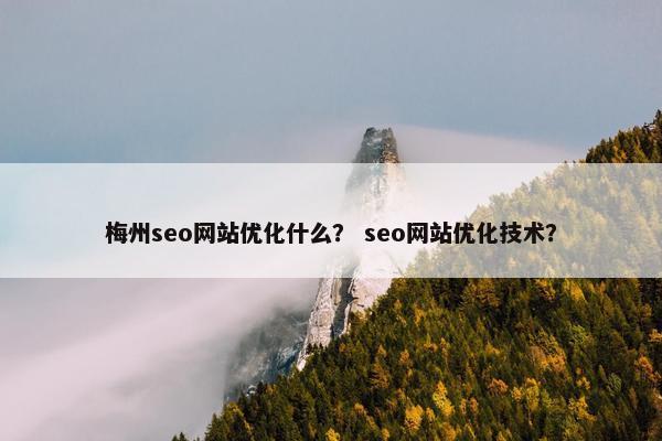 梅州seo网站优化什么？ seo网站优化技术？