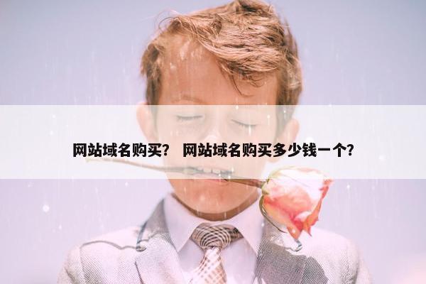 网站域名购买？ 网站域名购买多少钱一个？