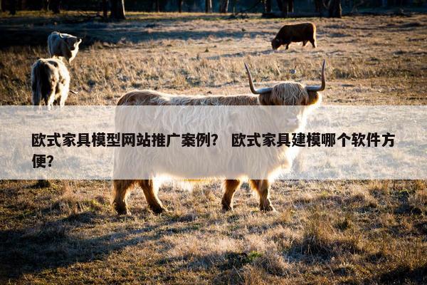欧式家具模型网站推广案例？ 欧式家具建模哪个软件方便？