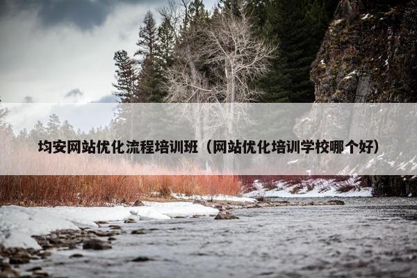 均安网站优化流程培训班（网站优化培训学校哪个好）