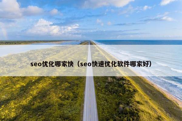 seo优化哪家快（seo快速优化软件哪家好）