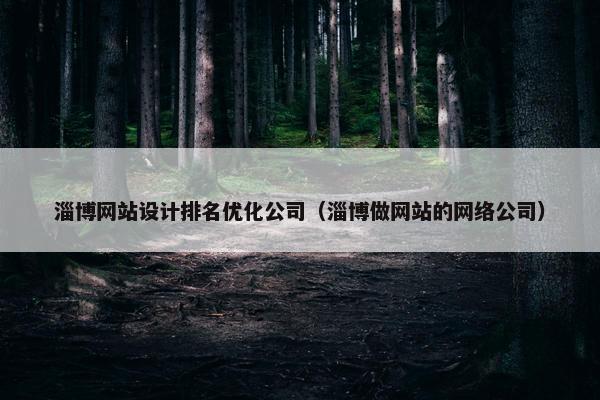 淄博网站设计排名优化公司（淄博做网站的网络公司）