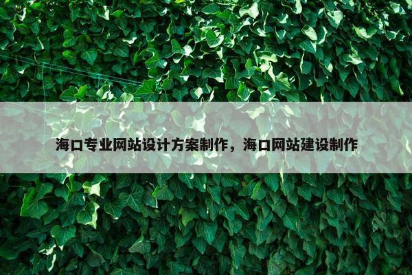 海口专业网站设计方案制作，海口网站建设制作