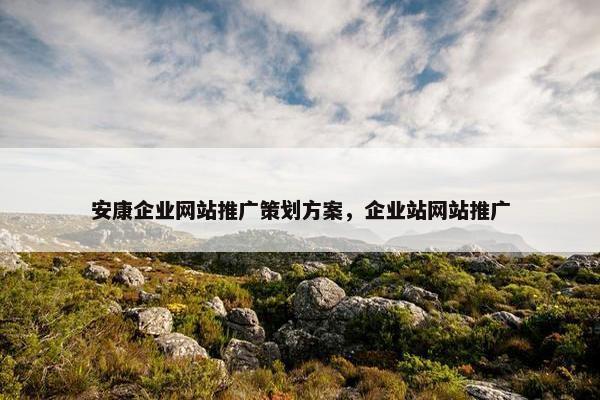 安康企业网站推广策划方案，企业站网站推广