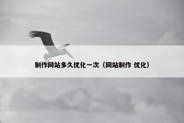 制作网站多久优化一次（网站制作 优化）