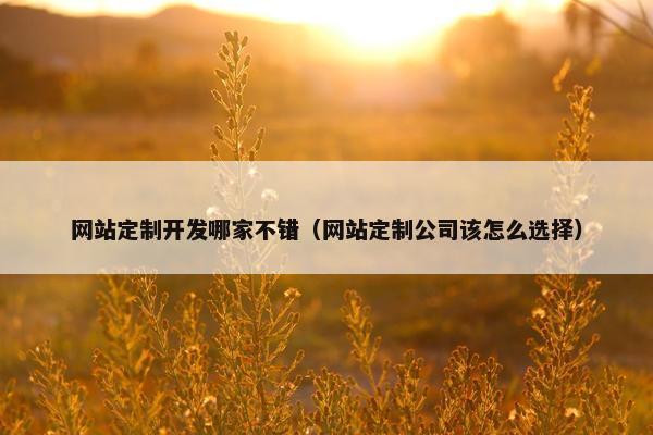 网站定制开发哪家不错（网站定制公司该怎么选择）