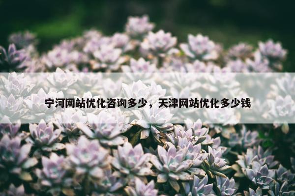 宁河网站优化咨询多少，天津网站优化多少钱