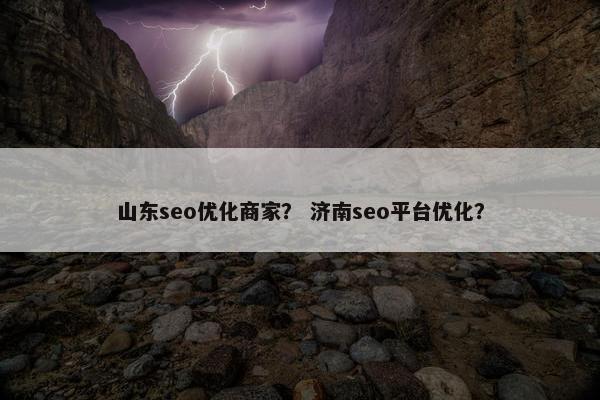 山东seo优化商家？ 济南seo平台优化？