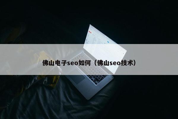 佛山电子seo如何（佛山seo技术）