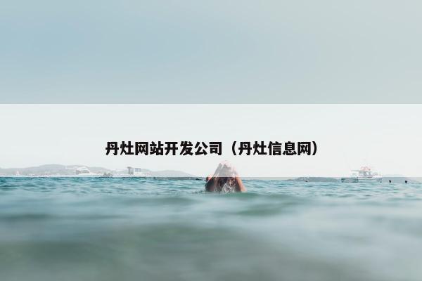 丹灶网站开发公司（丹灶信息网）