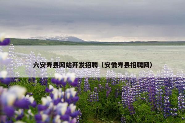 六安寿县网站开发招聘（安徽寿县招聘网）
