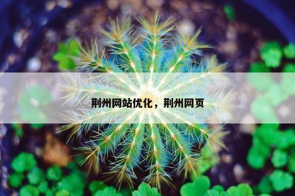 荆州网站优化，荆州网页