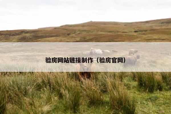 验房网站链接制作（验房官网）