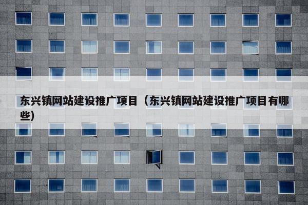 东兴镇网站建设推广项目（东兴镇网站建设推广项目有哪些）