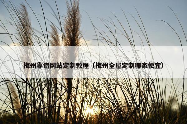 梅州靠谱网站定制教程（梅州全屋定制哪家便宜）