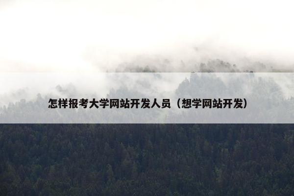 怎样报考大学网站开发人员（想学网站开发）