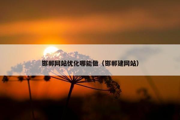 邯郸网站优化哪能做（邯郸建网站）