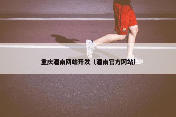 重庆潼南网站开发（潼南官方网站）