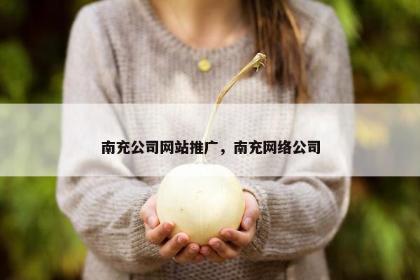南充公司网站推广，南充网络公司