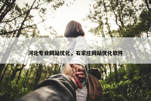 河北专业网站优化，石家庄网站优化软件