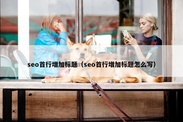 seo首行增加标题（seo首行增加标题怎么写）